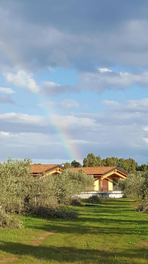 Agriturismo Corte Degli Ulivi Капотерра Экстерьер фото